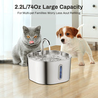 PawPeak™ PureFlow — Filtered Drinking Fountain for Cats