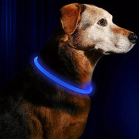 PawPeak™ NightGuard — Rechargeable LED Safety Collar