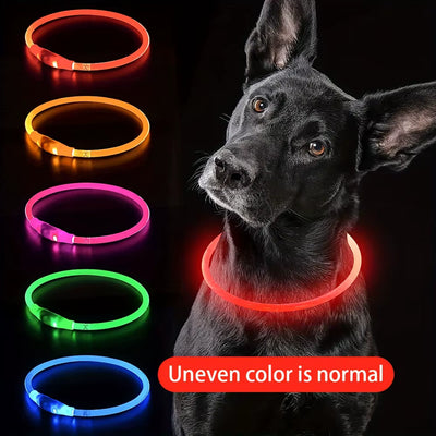 PawPeak™ NightGuard — Rechargeable LED Safety Collar